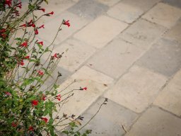 Cognac Classic Cobbles